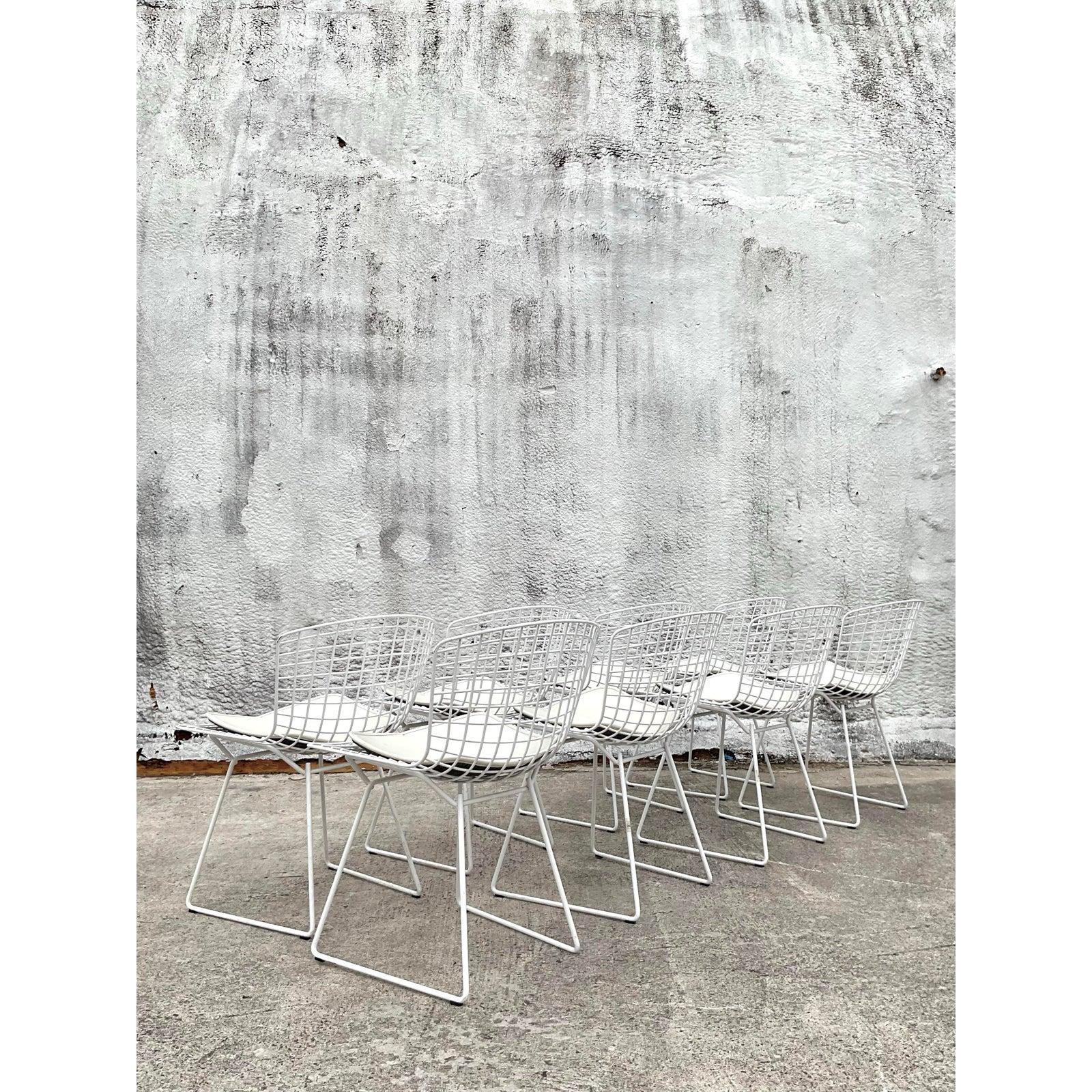 Moderne Bertoia-Drahtstühle aus der Jahrhundertmitte für Knoll - 8er-Set im Angebot 5