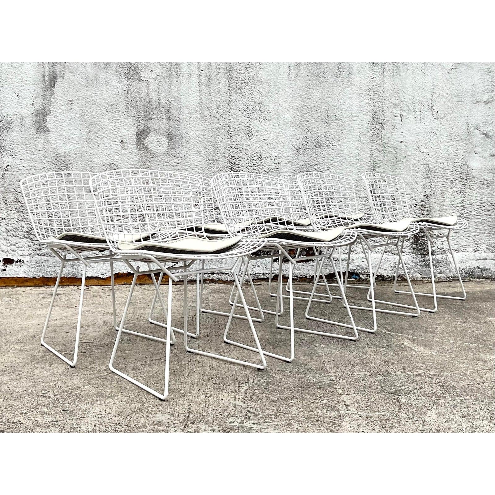 Moderne Bertoia-Drahtstühle aus der Jahrhundertmitte für Knoll - 8er-Set (Minimalistisch) im Angebot