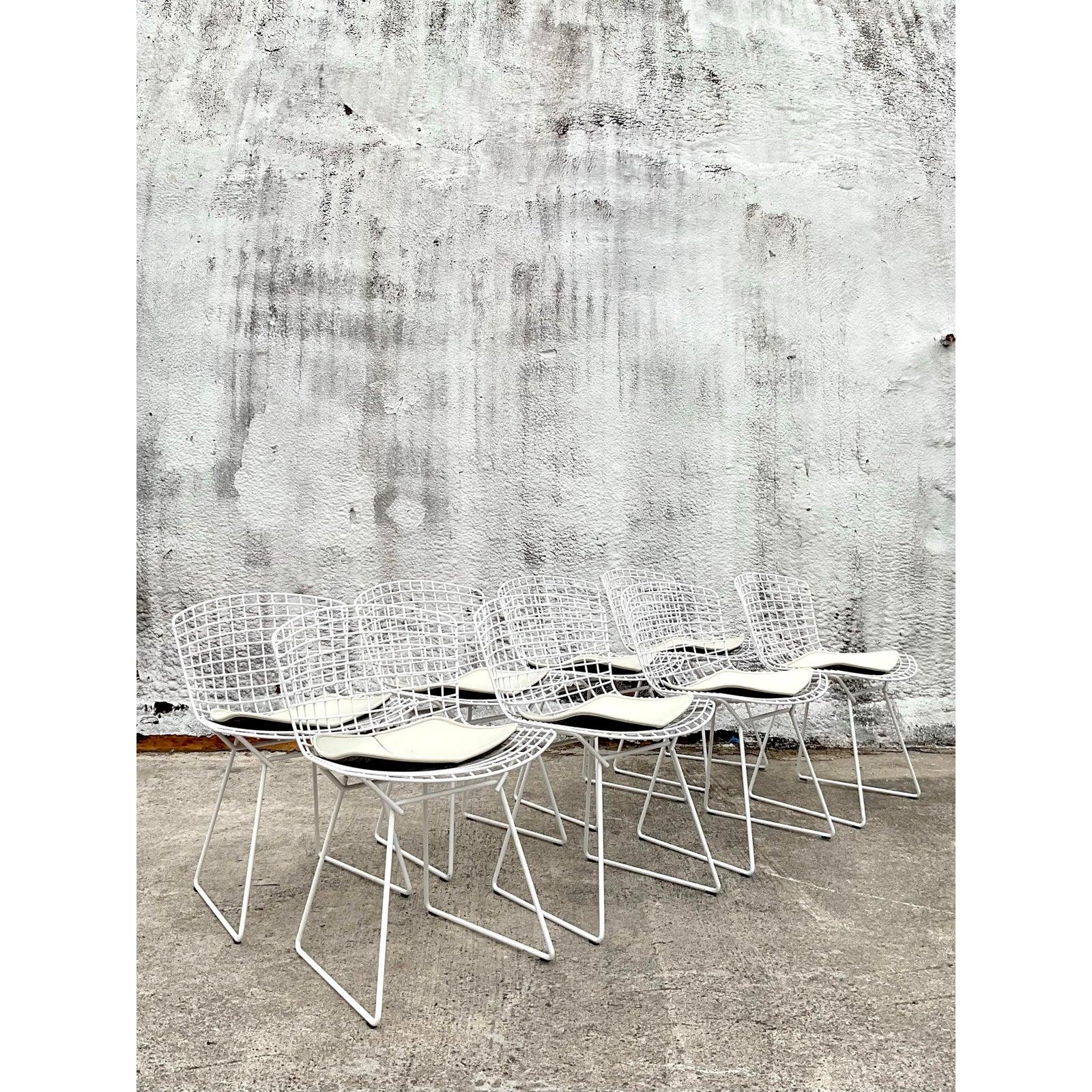 Moderne Bertoia-Drahtstühle aus der Jahrhundertmitte für Knoll - 8er-Set im Zustand „Gut“ im Angebot in West Palm Beach, FL