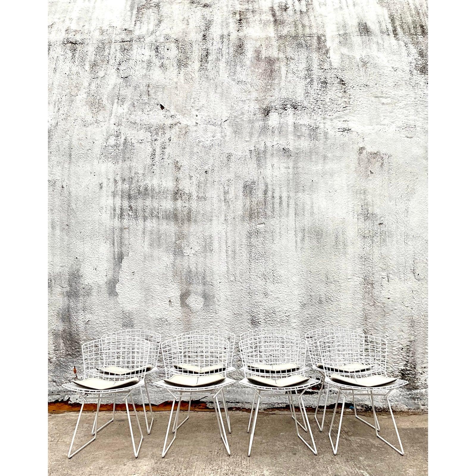Moderne Bertoia-Drahtstühle aus der Jahrhundertmitte für Knoll - 8er-Set (20. Jahrhundert) im Angebot