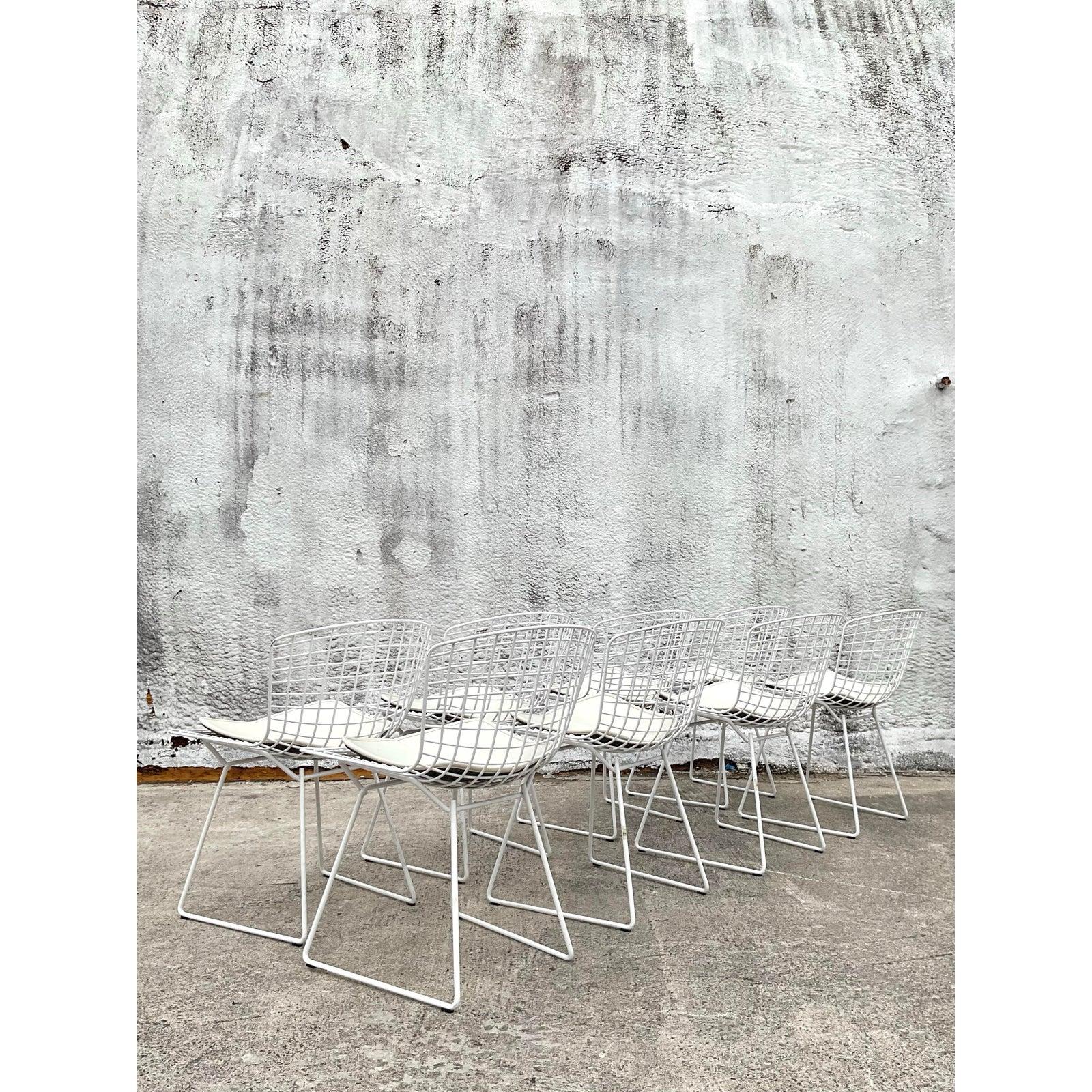 Moderne Bertoia-Drahtstühle aus der Jahrhundertmitte für Knoll - 8er-Set (Metall) im Angebot