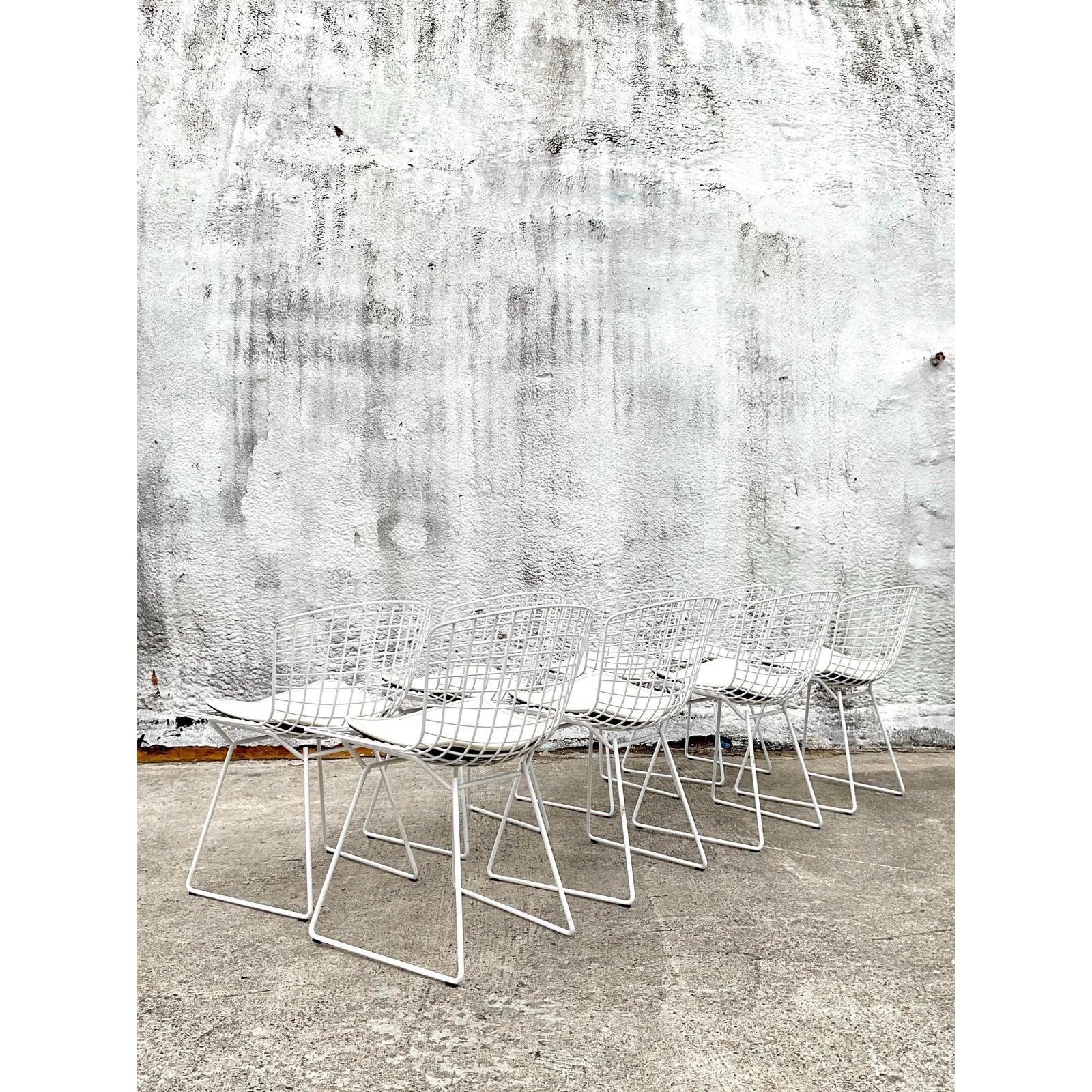 Moderne Bertoia-Drahtstühle aus der Jahrhundertmitte für Knoll - 8er-Set im Angebot 1
