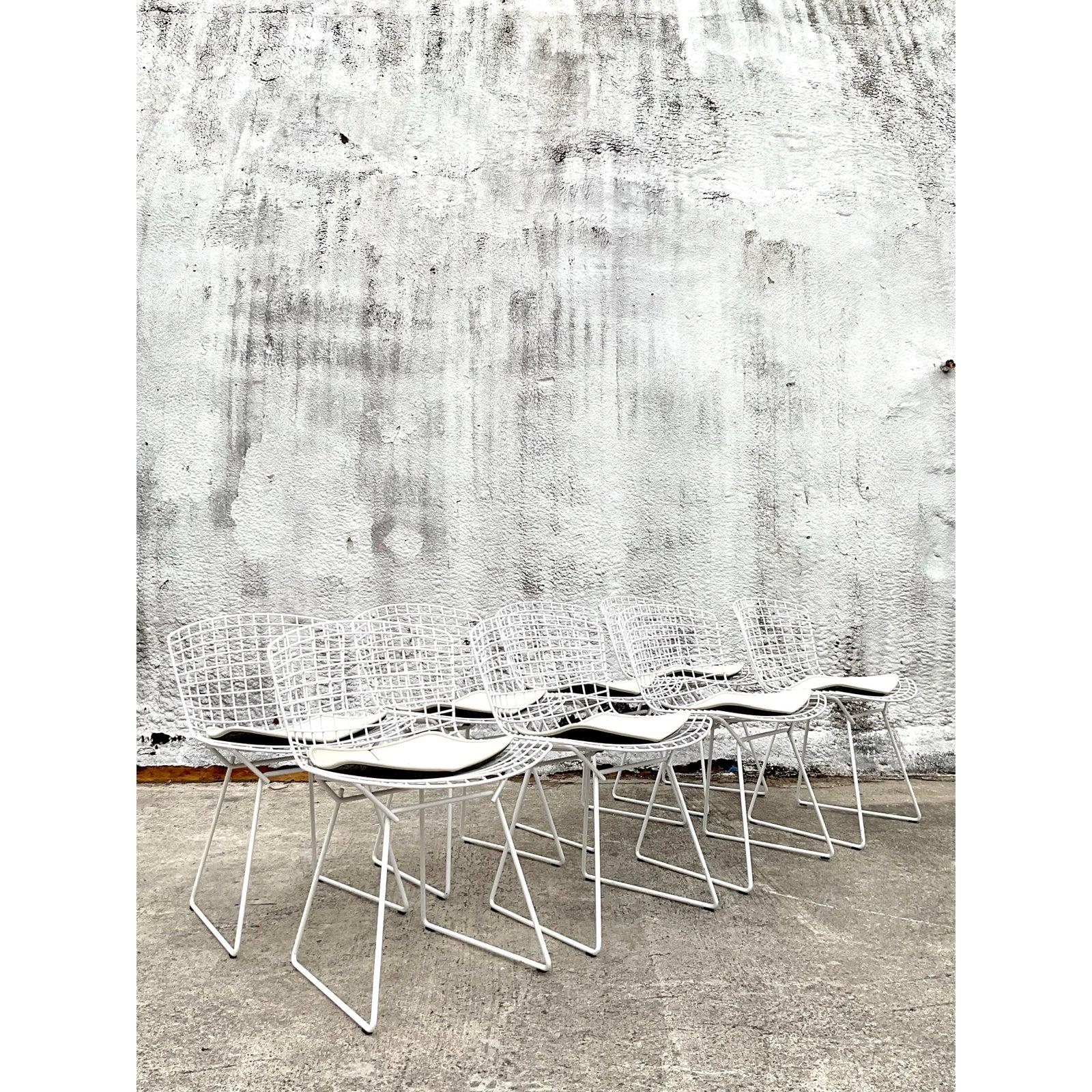 Moderne Bertoia-Drahtstühle aus der Jahrhundertmitte für Knoll - 8er-Set im Angebot 2
