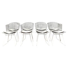 Sedie in filo metallico Bertoia per Knoll, vintage, metà del secolo scorso - Set di 8 sedie