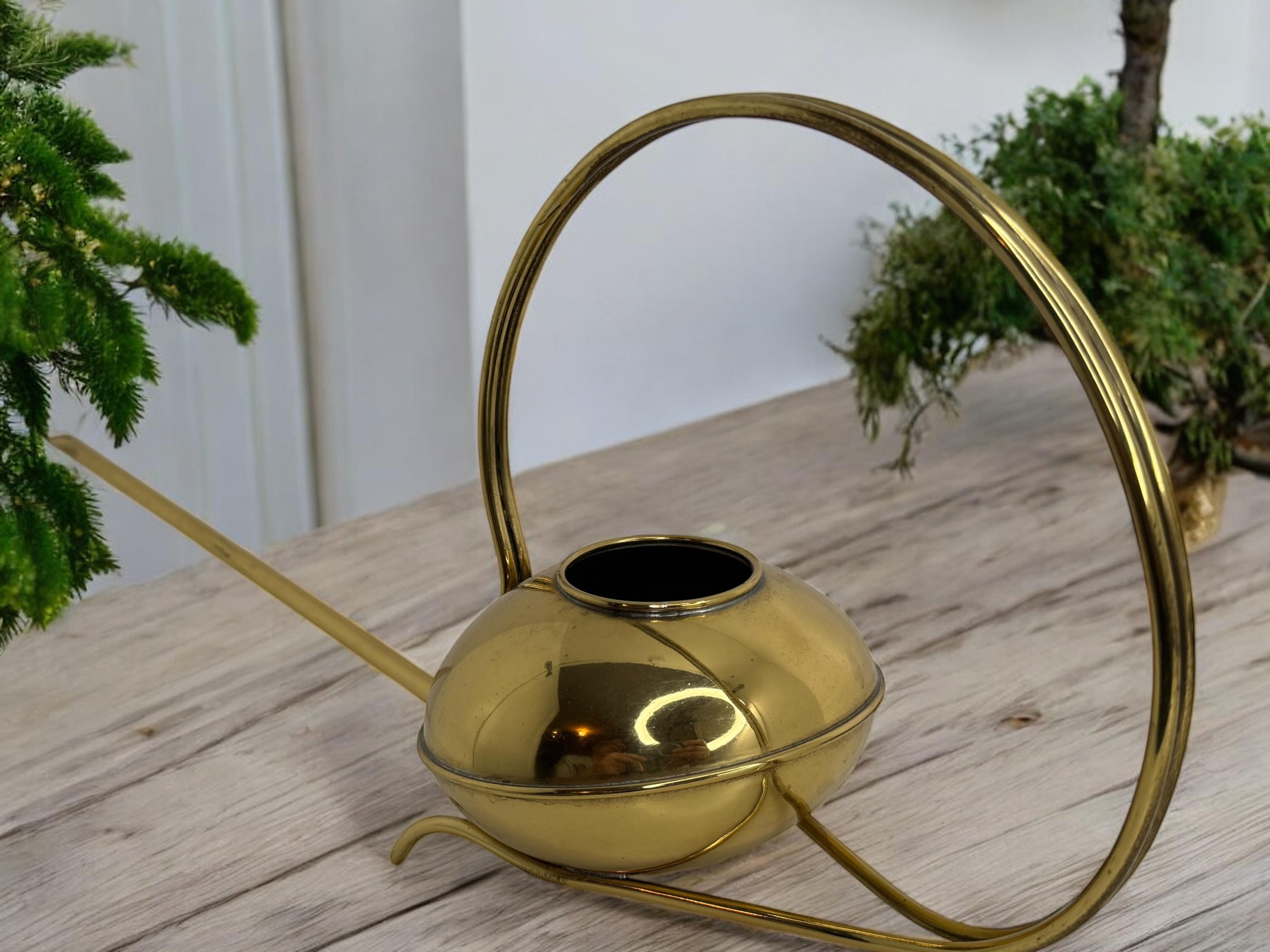 Can d'epoca in ottone per bonsai della metà del secolo scorso con beccuccio lungo, anni '60 in vendita 6