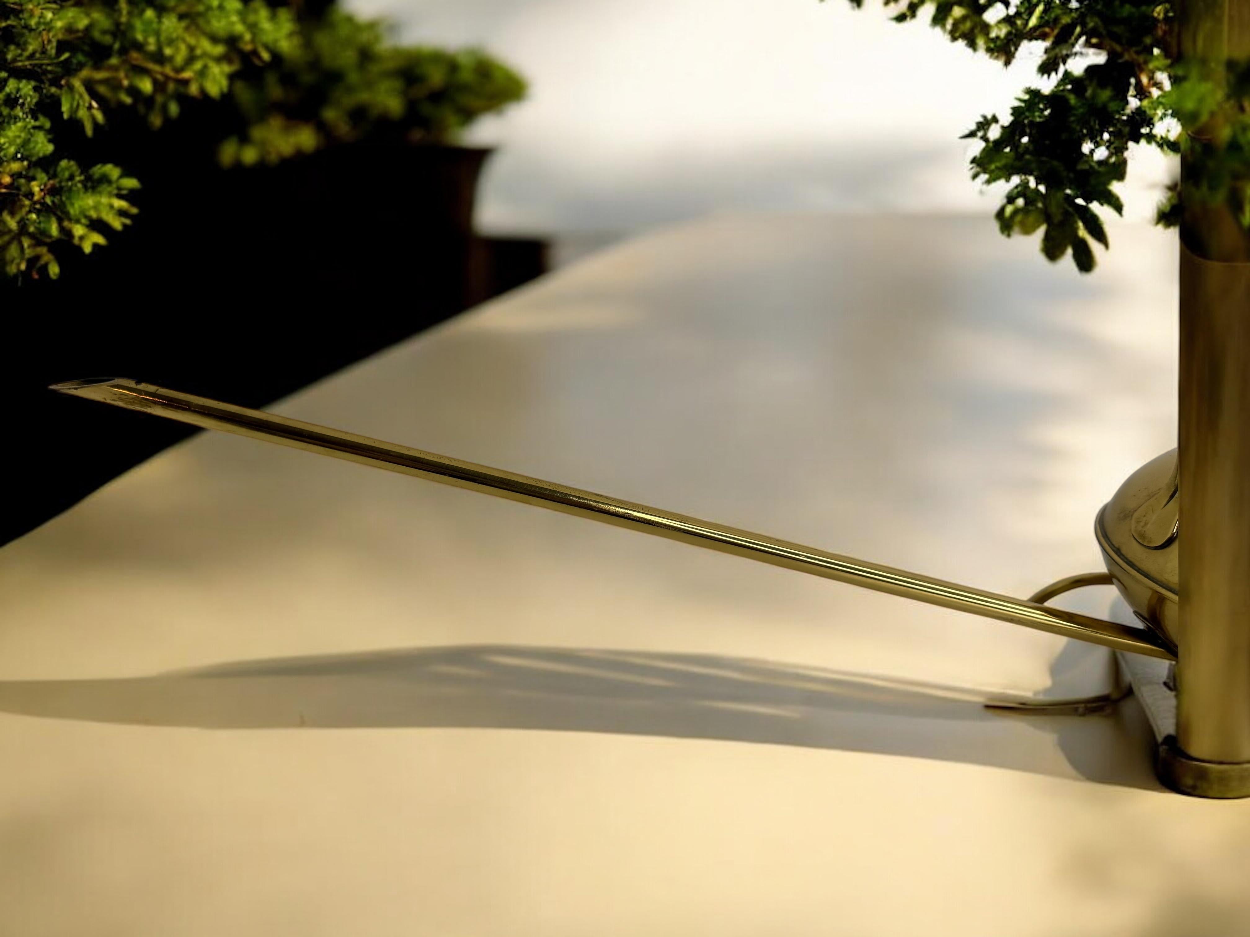Can d'epoca in ottone per bonsai della metà del secolo scorso con beccuccio lungo, anni '60 in vendita 7