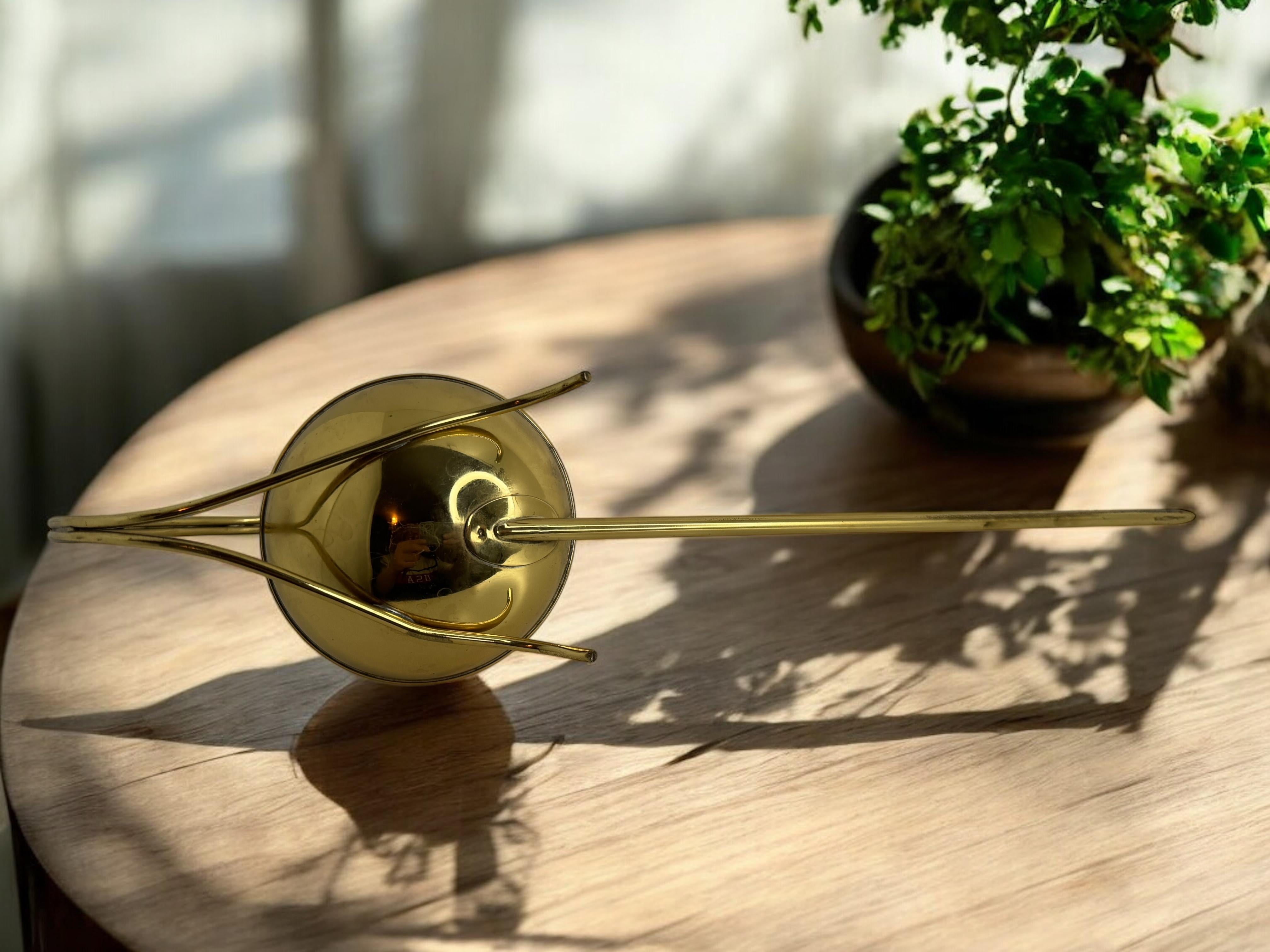 Can d'epoca in ottone per bonsai della metà del secolo scorso con beccuccio lungo, anni '60 in vendita 9