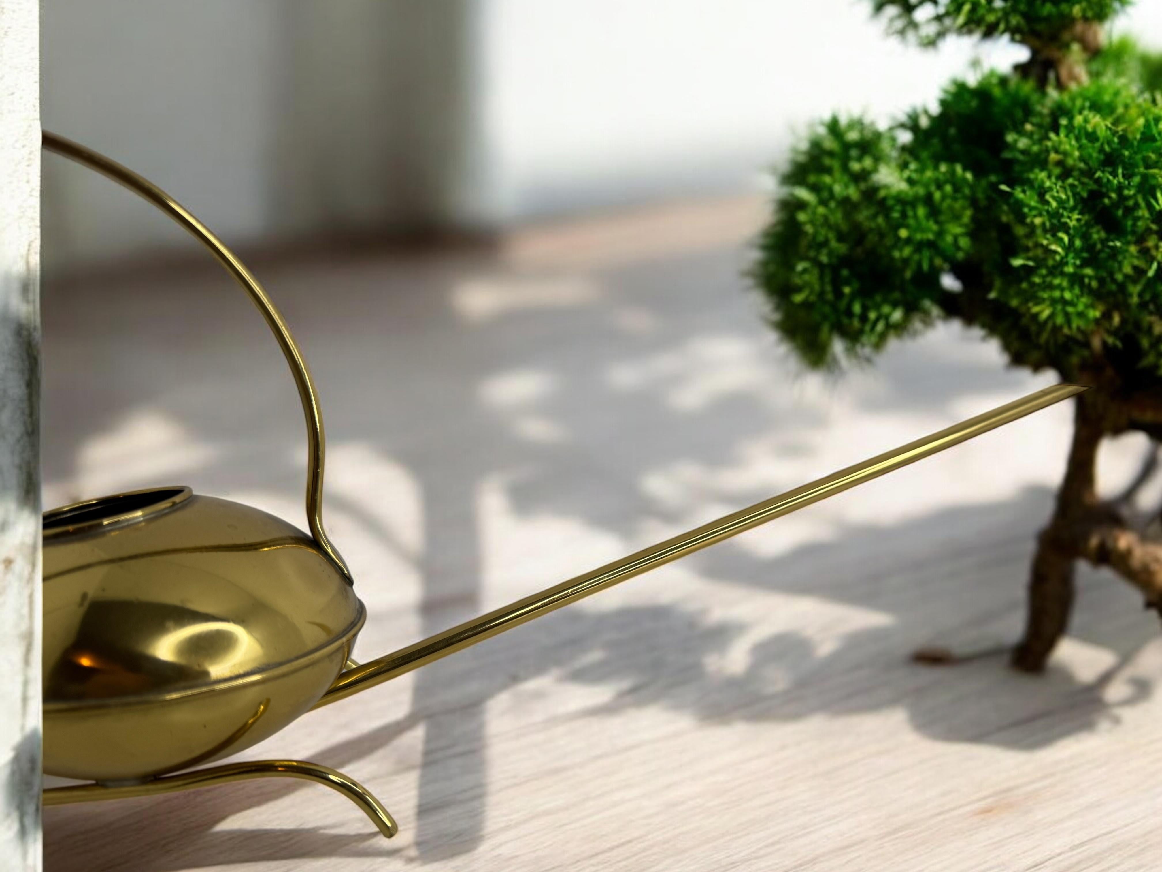 Can d'epoca in ottone per bonsai della metà del secolo scorso con beccuccio lungo, anni '60 in vendita 11