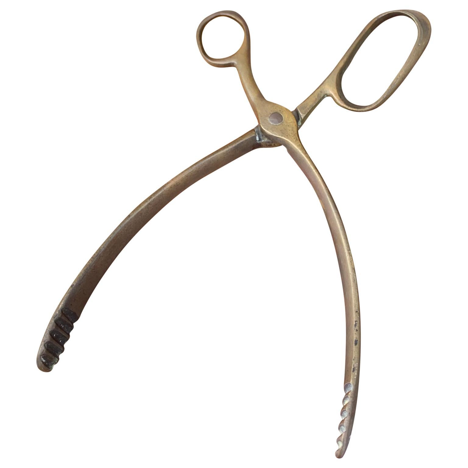 Vintage Mid-Century Modern brass ice cube tongs scissor.