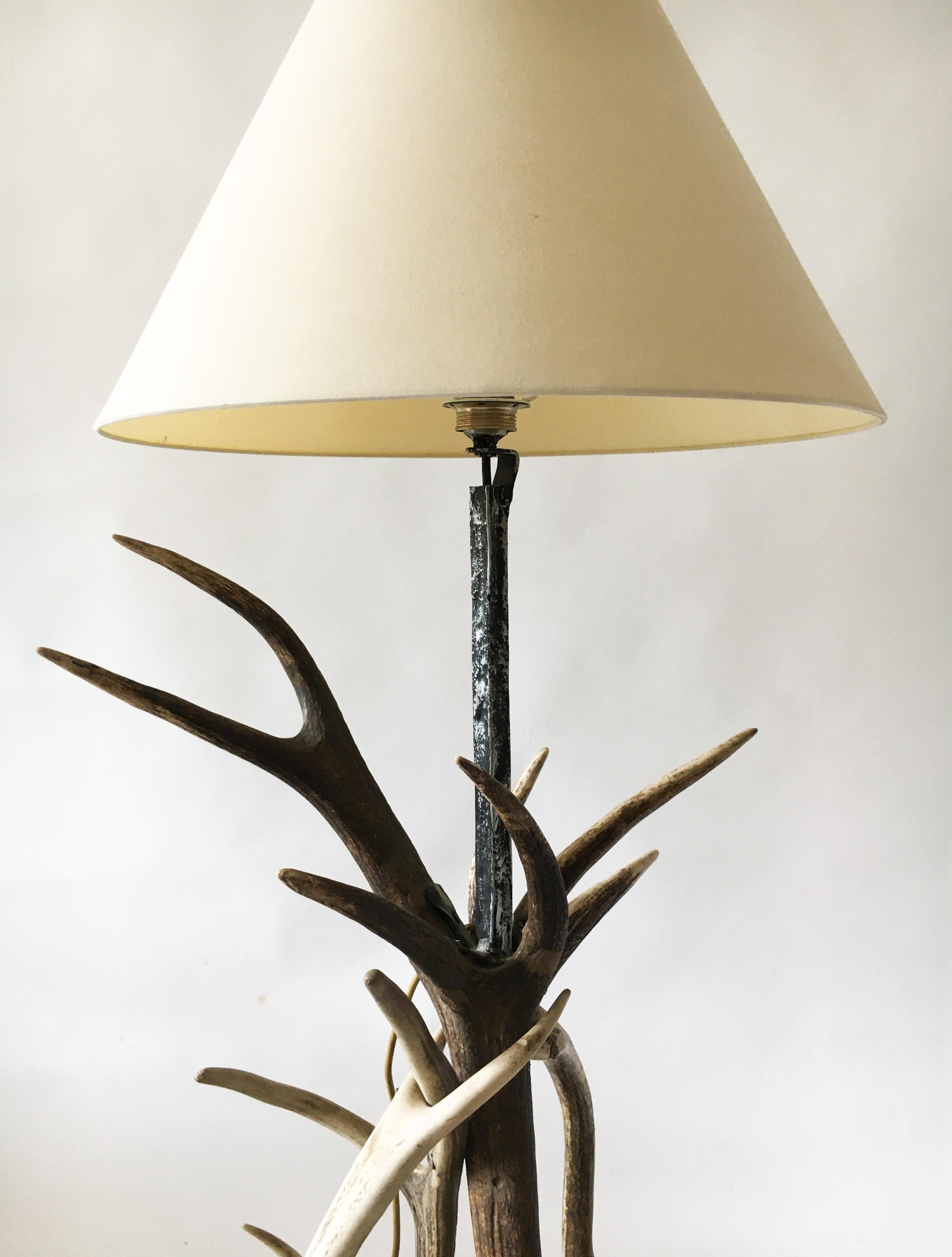 Vintage Mid-Century Modern Deer Antler Floor Lamp, Austria, 1950s For Sale 1