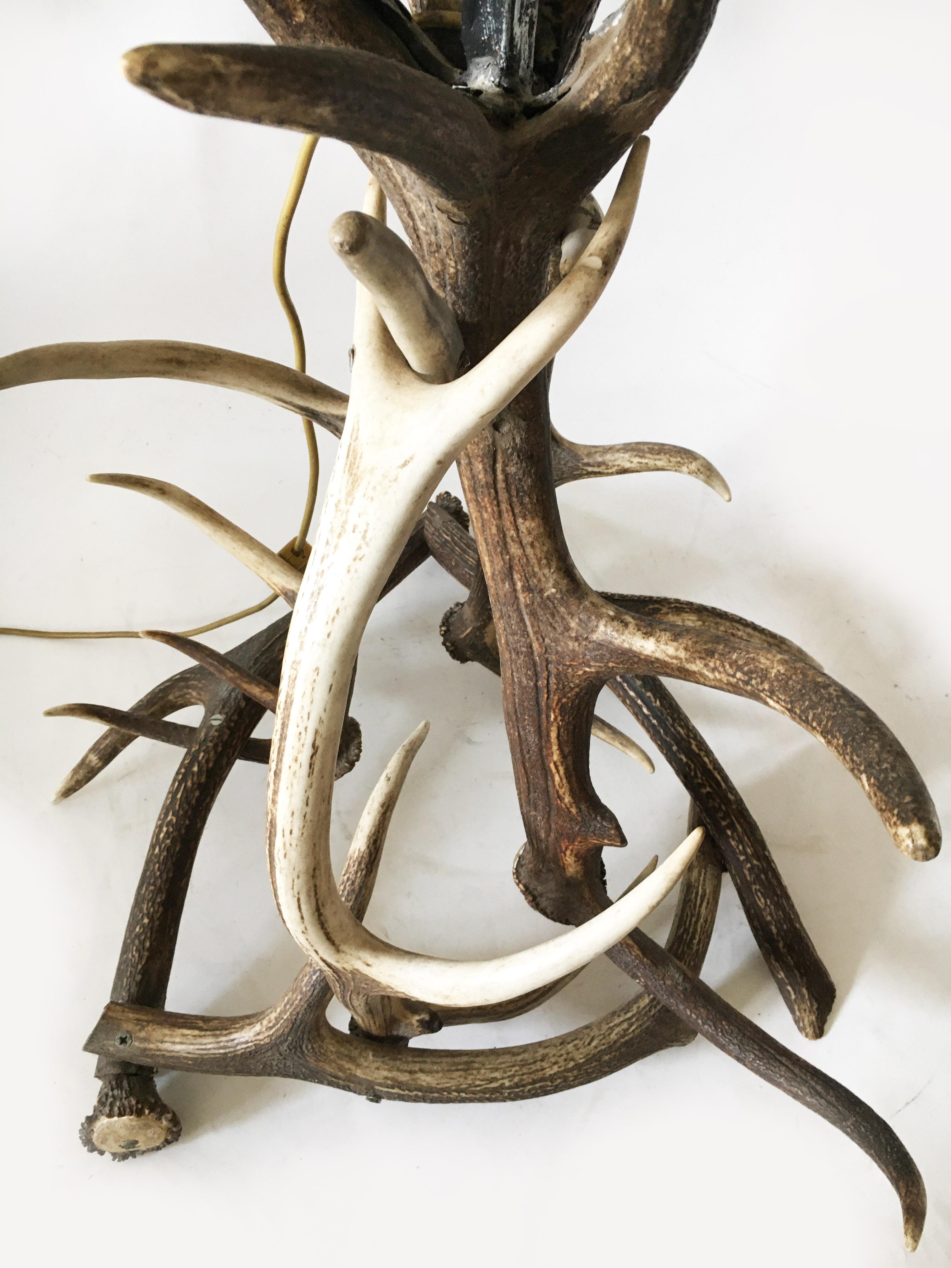 Vintage Mid-Century Modern Deer Antler Floor Lamp, Austria, 1950s For Sale 3