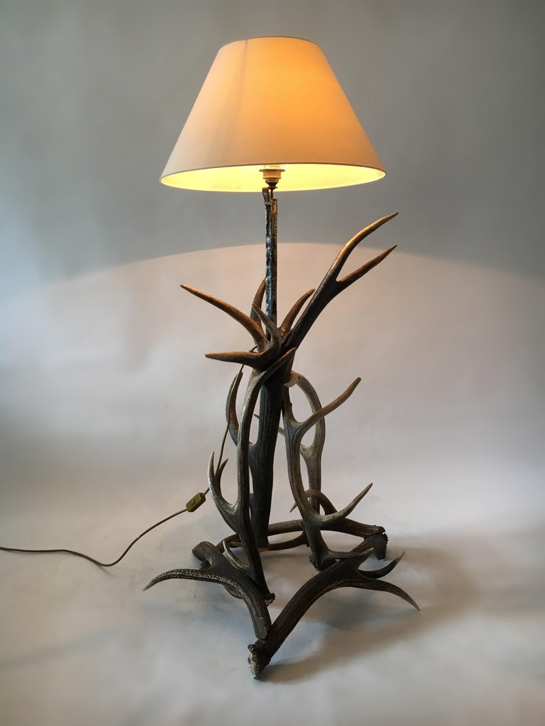 Vintage Mid-Century Modern Deer Antler Floor Lamp, Austria, 1950s For ...