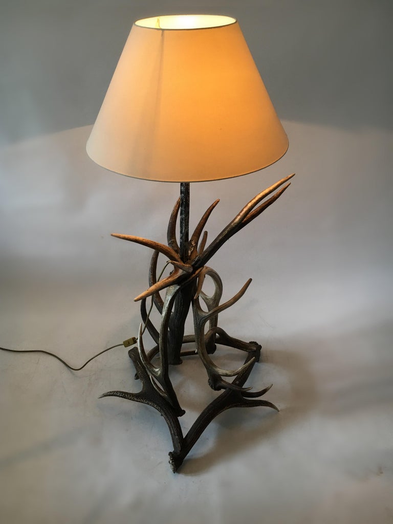 Vintage Mid-Century Modern Deer Antler Floor Lamp, Austria, 1950s For ...