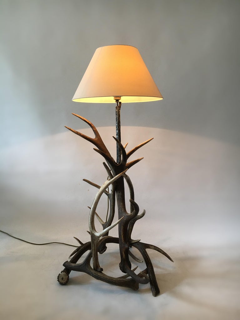 Vintage Mid-Century Modern Deer Antler Floor Lamp, Austria, 1950s For ...