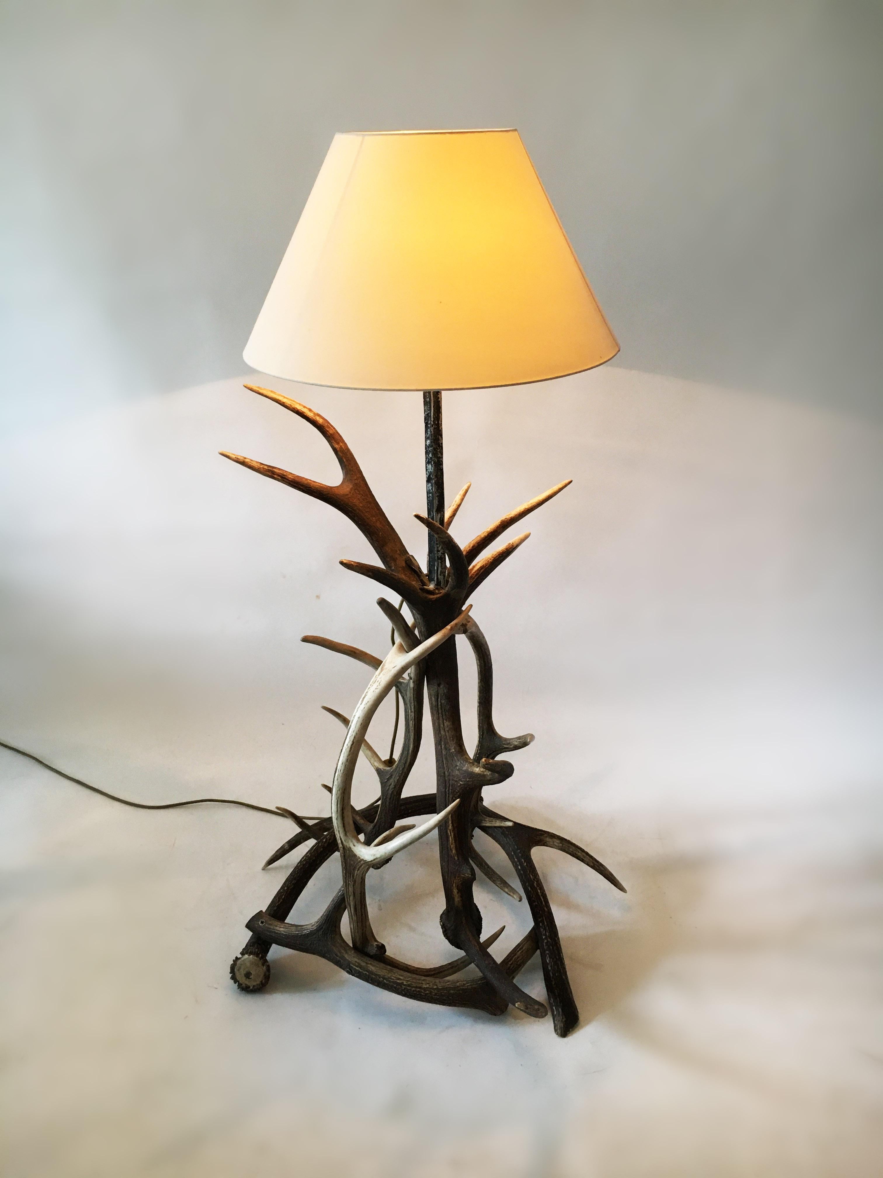 Mid-20th Century Vintage Mid-Century Modern Deer Antler Floor Lamp, Austria, 1950s For Sale