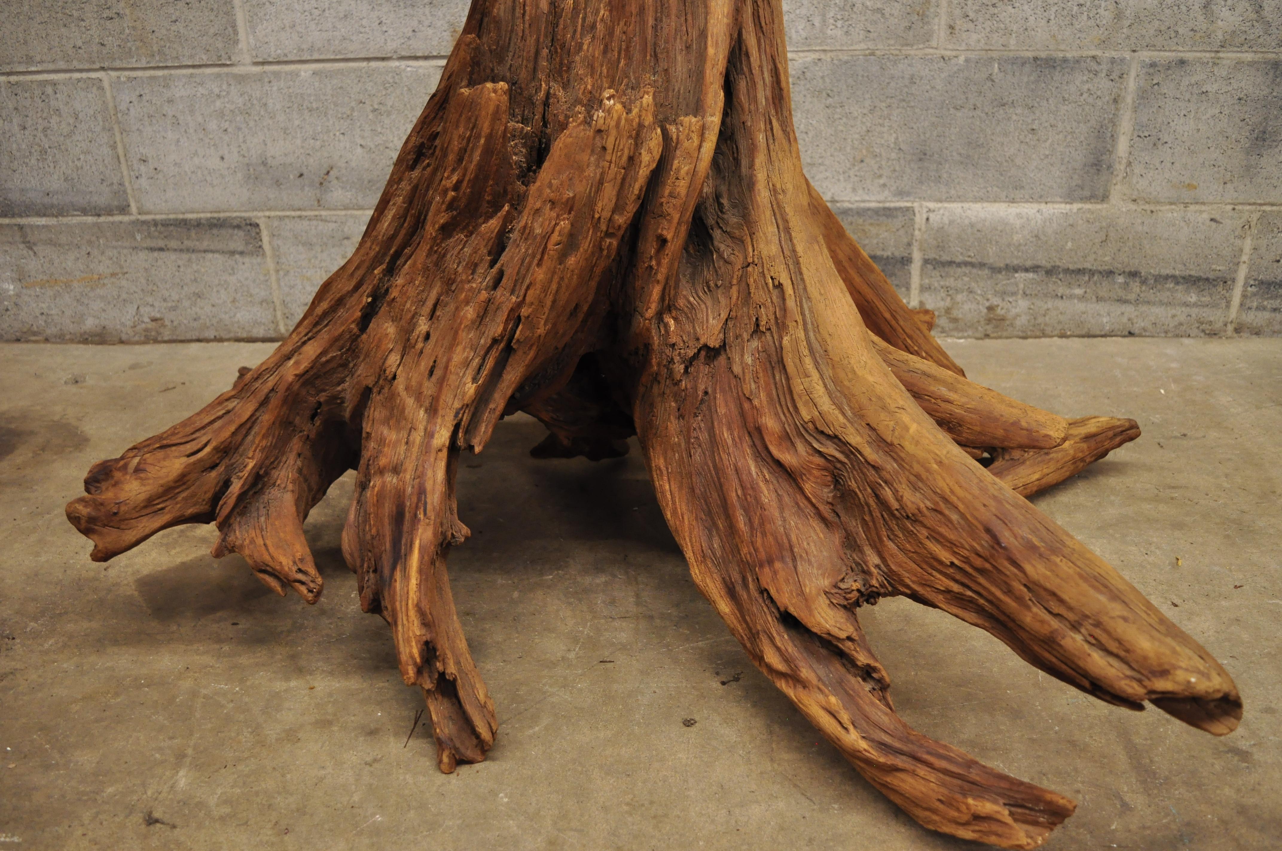 tree roots for sale