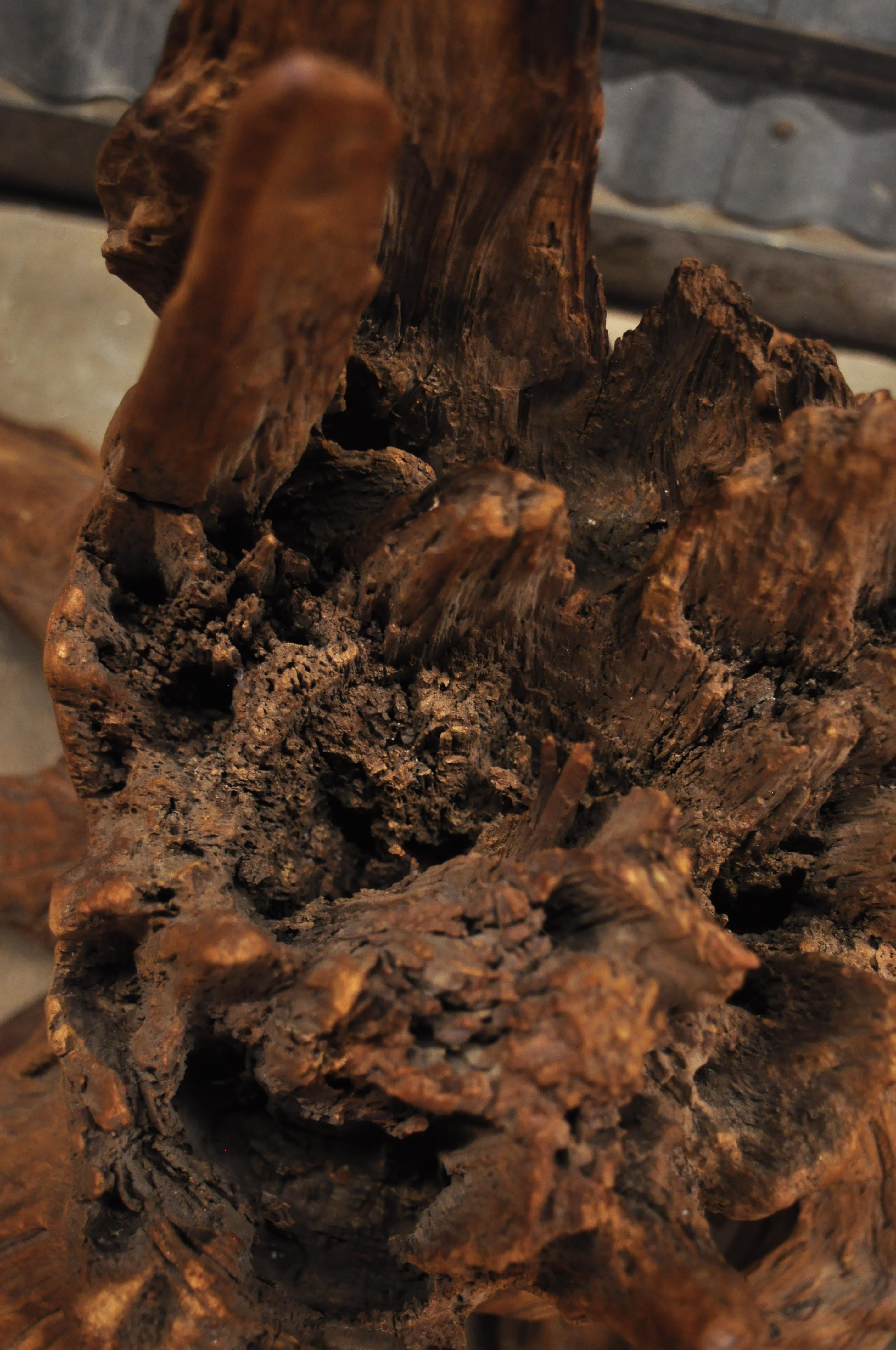 Vintage Mid-Century Modern Free Form Large Tree Root Driftwood Figural ...