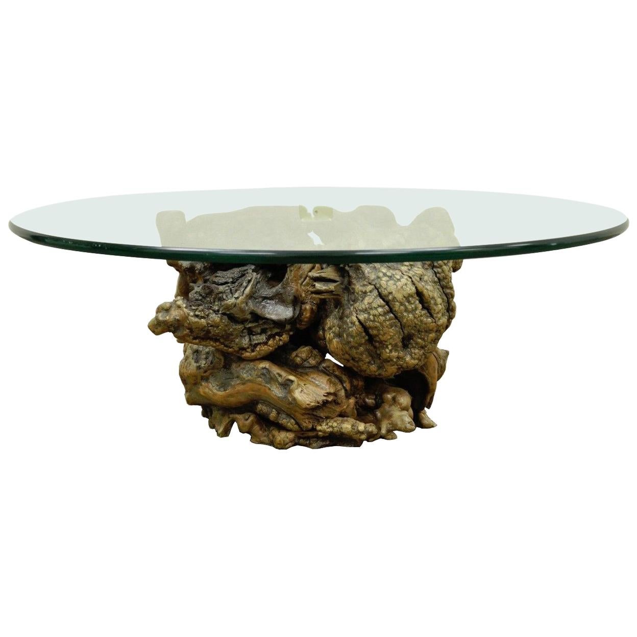 Table basse vintage moderne mi-siècle en bois flotté à bord vif avec plateau en bois de ronce et plateau en bois de ronce