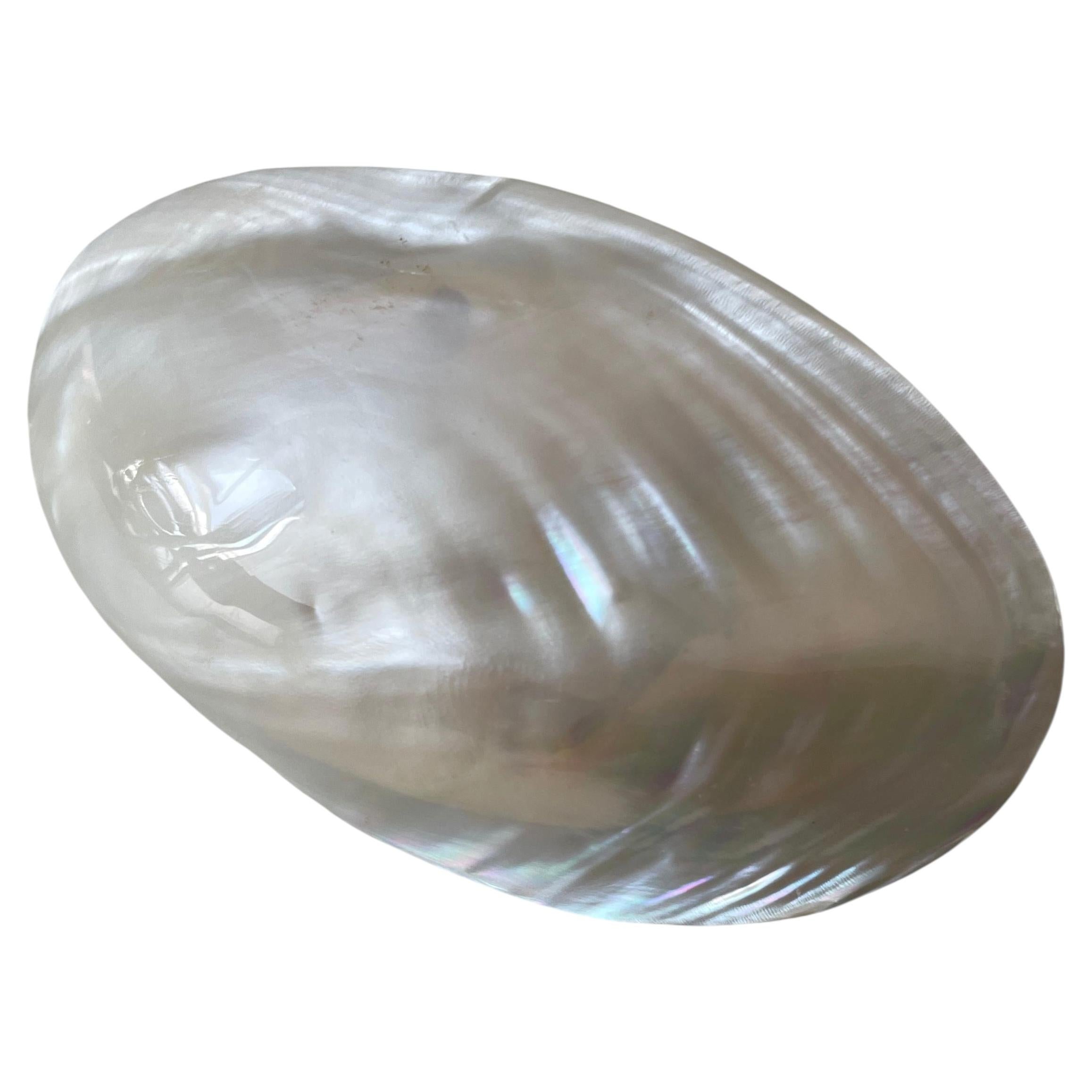 Vintage Mid-Century Modern Mother of Pearl Ponytail Slide, c. 1950s