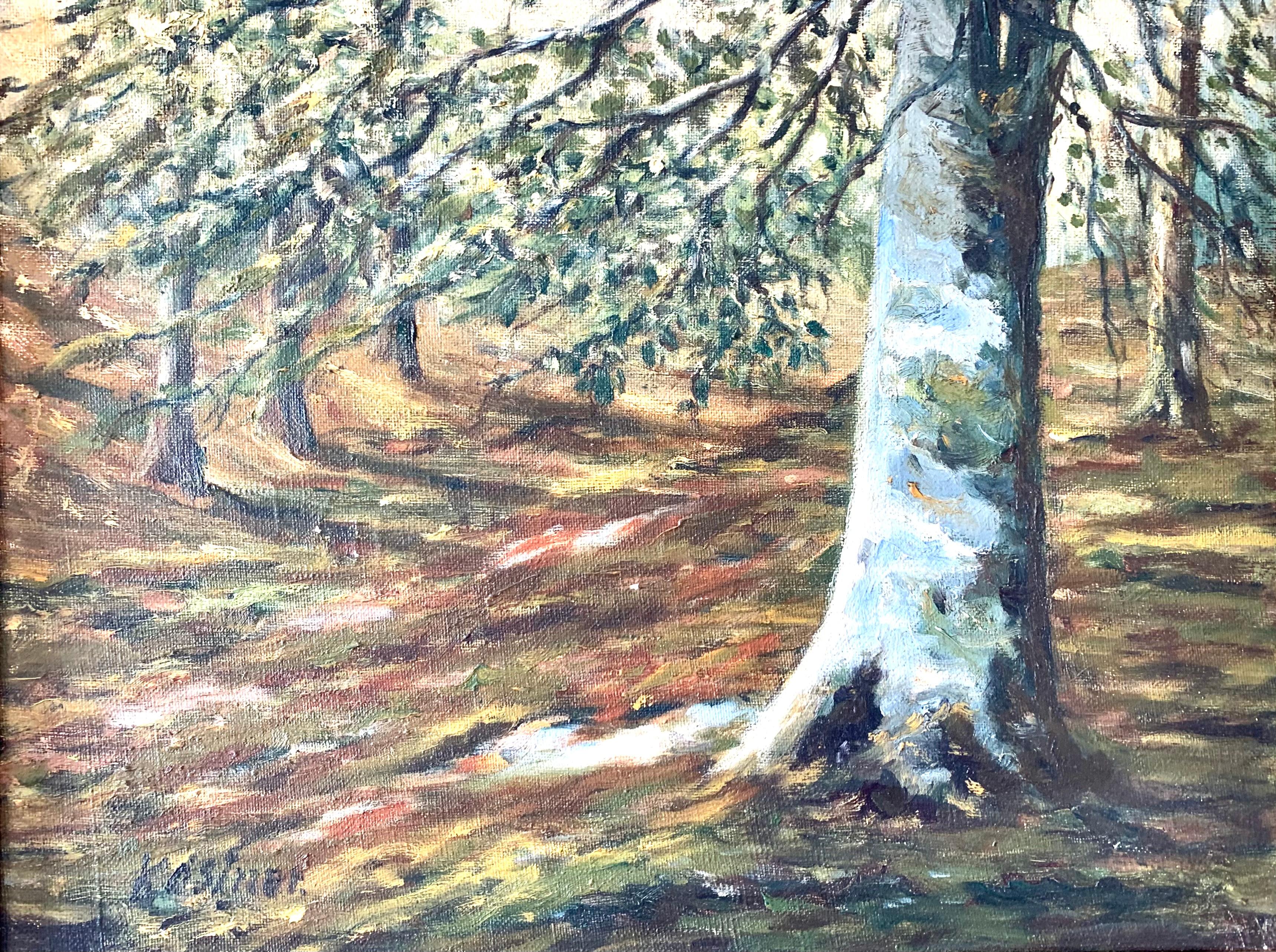 Originale dipinto scandinavo di metà secolo ad olio su tela di un paesaggio forestale. Il motivo è uno scenario forestale con il sole che brilla attraverso le foglie degli alberi in una foresta che sembra spaziosa grazie alla distanza tra gli