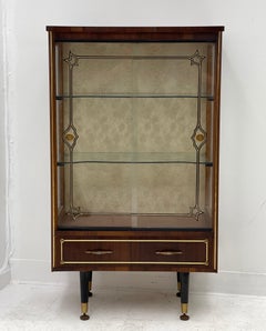 Vintage Mid Century Modern Retro Glass Case Cabinet or Bookcase