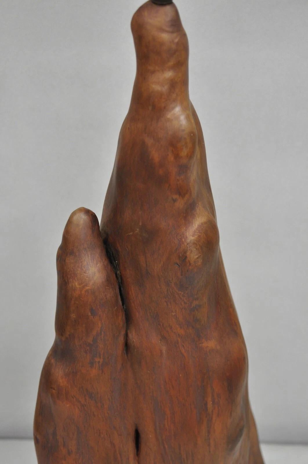 Vintage Mid Century Modern Sculpted Teak Root Wood Driftwood Organic Table Lamp For Sale 4