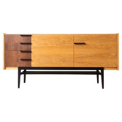 Vintage Mid Century Modern Sideboard by Frantisek Mezulanik, Up Zavody, 1960s