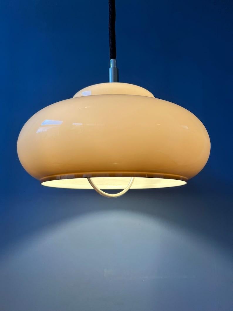 Space Age Vintage Mid Century UFO Mushroom Plexiglass Pendant Lamp, 1970s For Sale