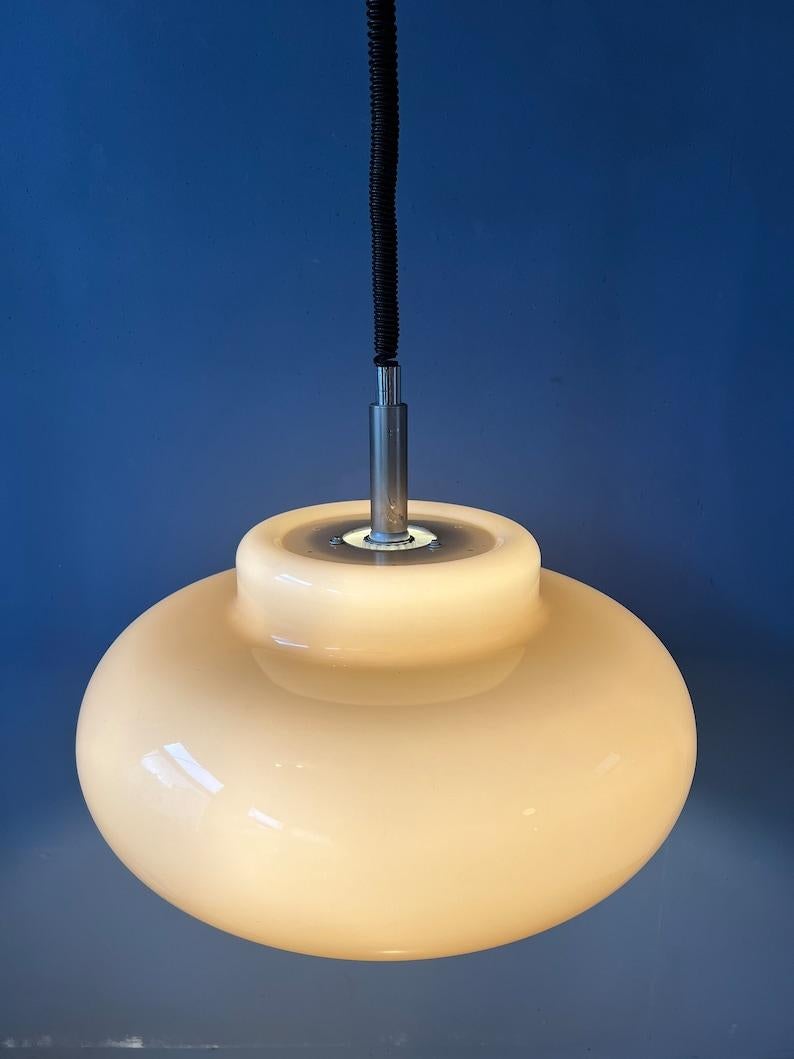 20th Century Vintage Mid Century UFO Mushroom Plexiglass Pendant Lamp, 1970s For Sale