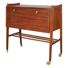 outdoor serving cart on wheels Vintage Midcentury Service Cabinet on Wheels, Austria, 1960