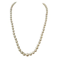 Vintage Mikimoto Graduated Akoya Pearl Strand Necklace Silver Clasp 