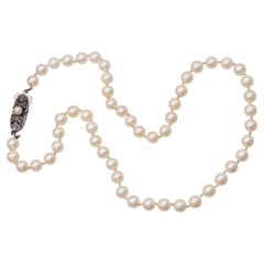 Choker Necklaces