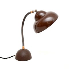 Vintage Model 21 Desk Lamp by Temde
