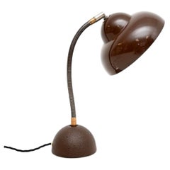 Vintage Model 21 Desk Lamp by Temde