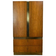 Armoire moderne vintage en bois de rose et plaques de laiton Milo Baughman pour Thayer Coggin