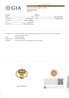 Vintage Modernist 18k Gold GIA 9.50ctw Precious Imperial Topaz & Cat's Eye Ring