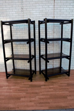 Vintage Modernist Tubular Black Metal Shelving Etagere with Tinted Glass, Pair