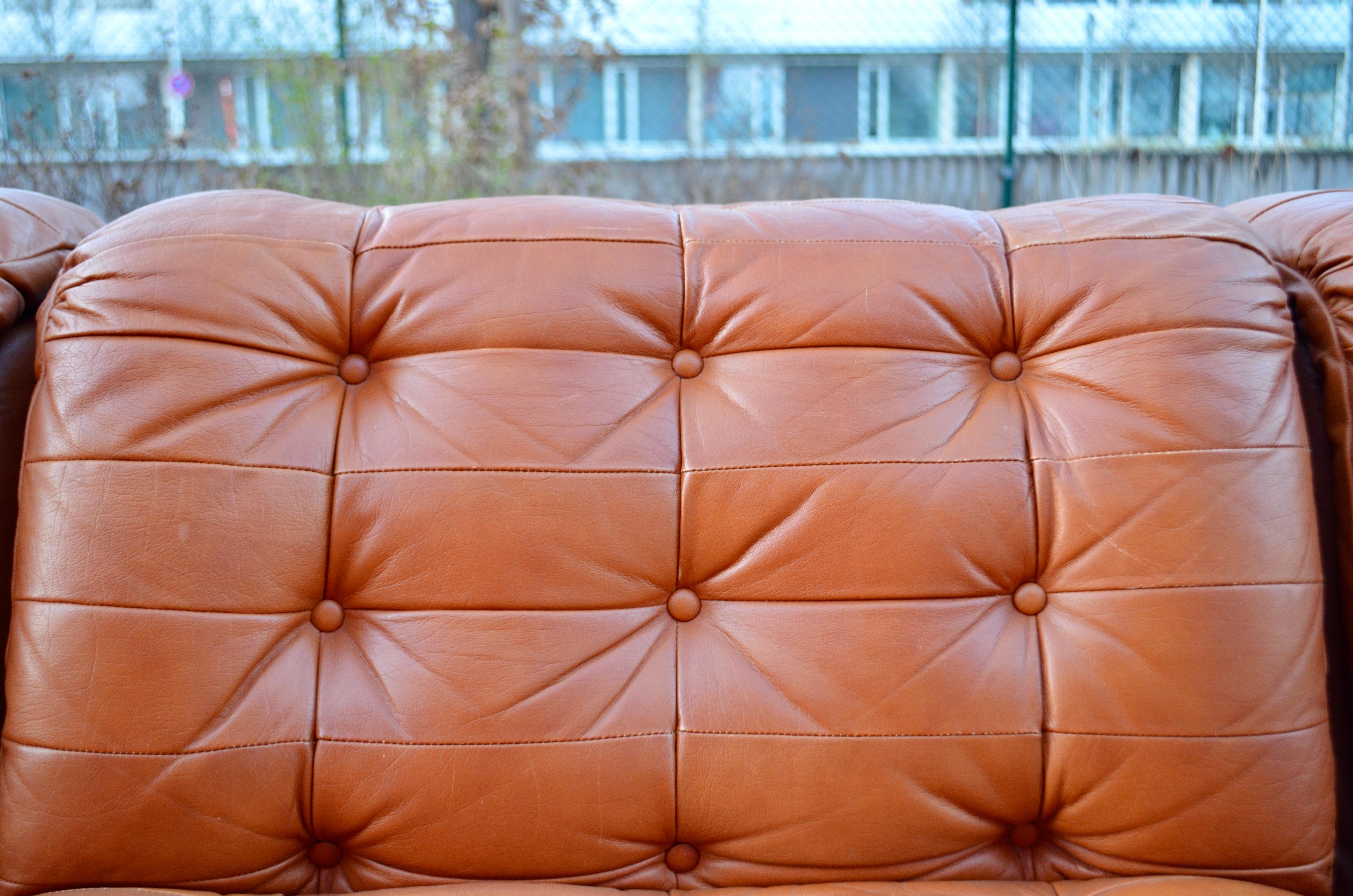 Vintage Modular Sectional Brandy Cognac Leather Lounge Sofa, Germany, 1970 For Sale 9
