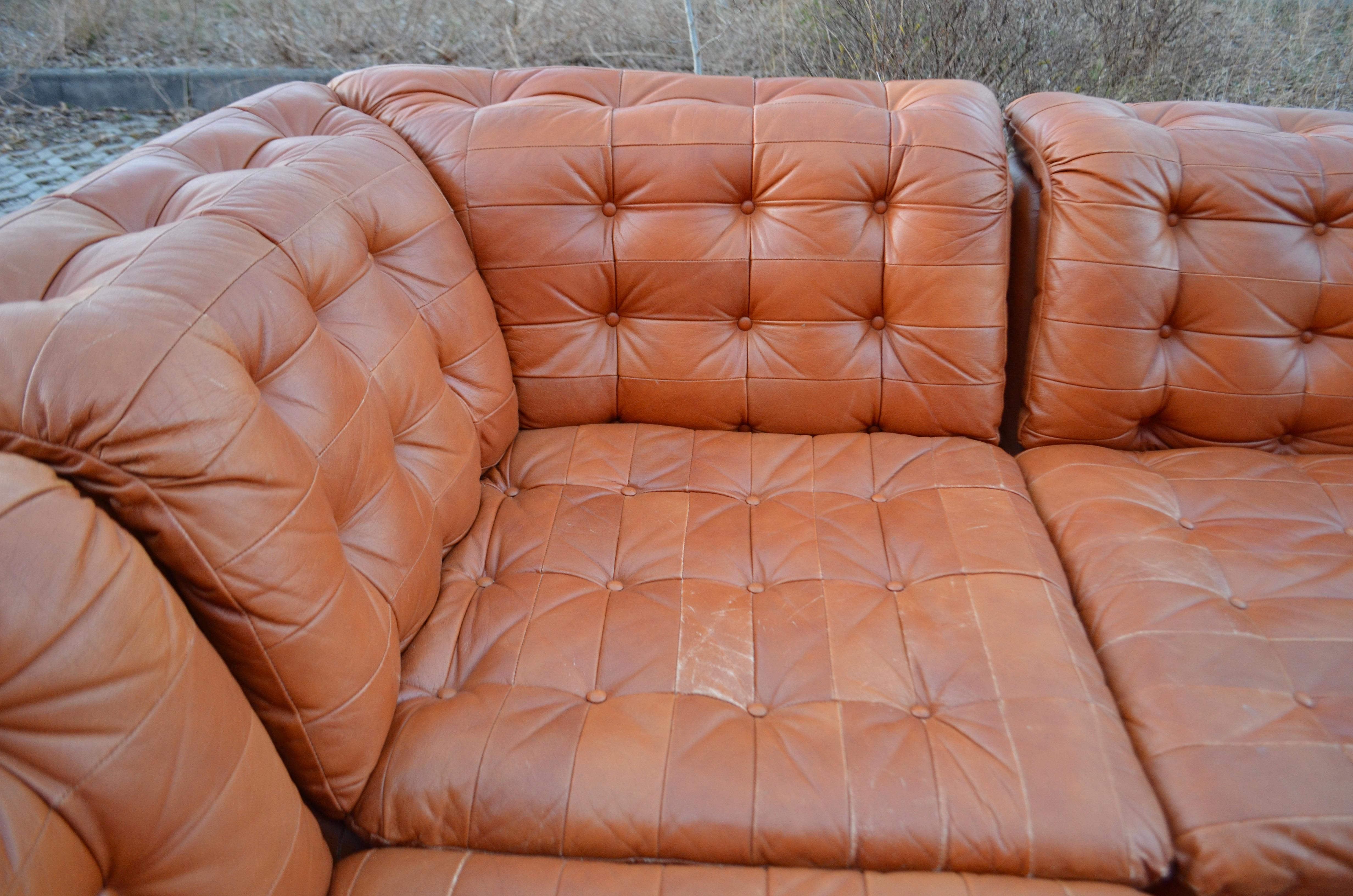 Vintage Modular Sectional Brandy Cognac Leather Lounge Sofa, Germany, 1970 For Sale 11