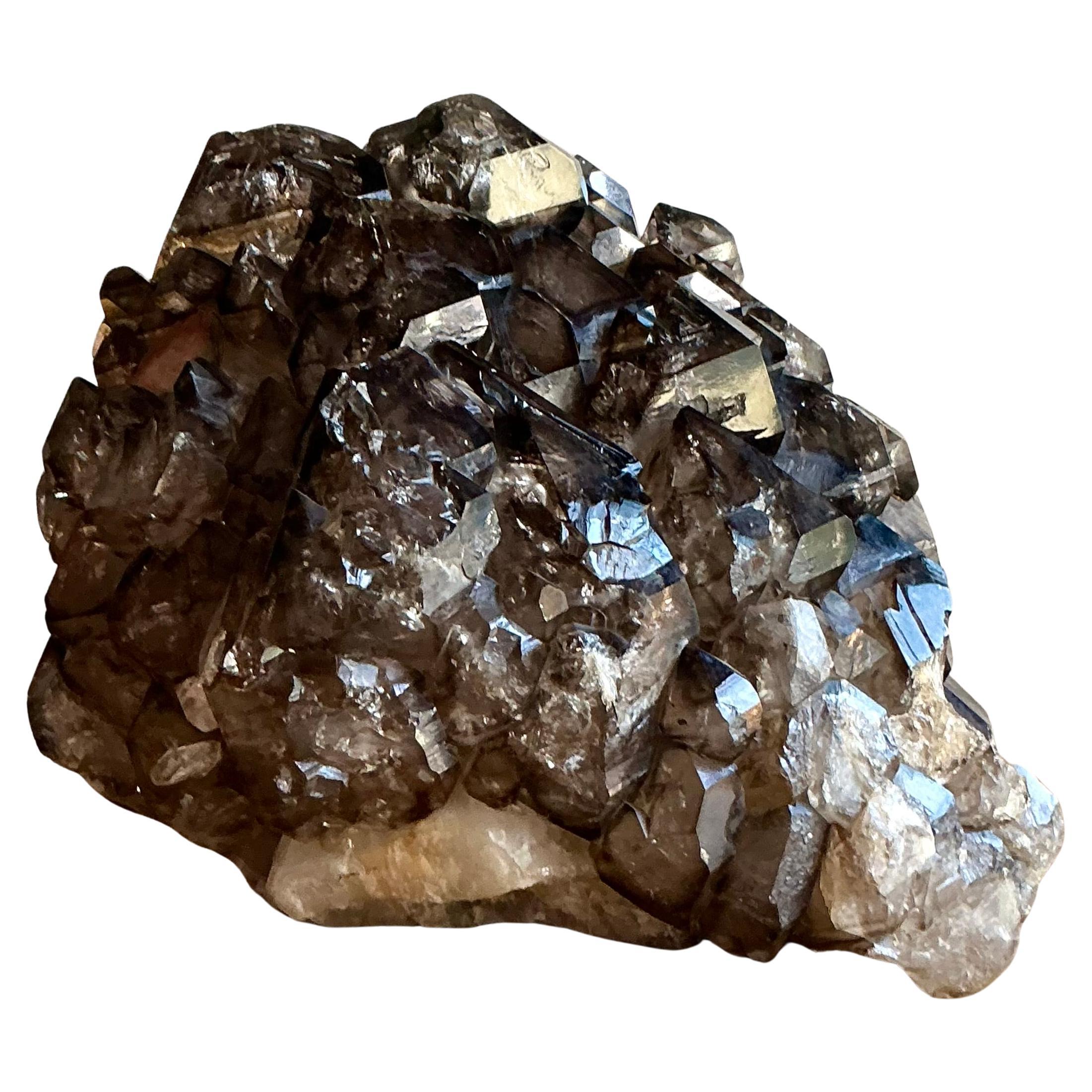 Quarzo fumé Monumentale Jacare d
epoca in vendita