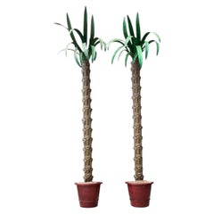 Vintage Monumental Punch Cut Palm Trees - A Pair