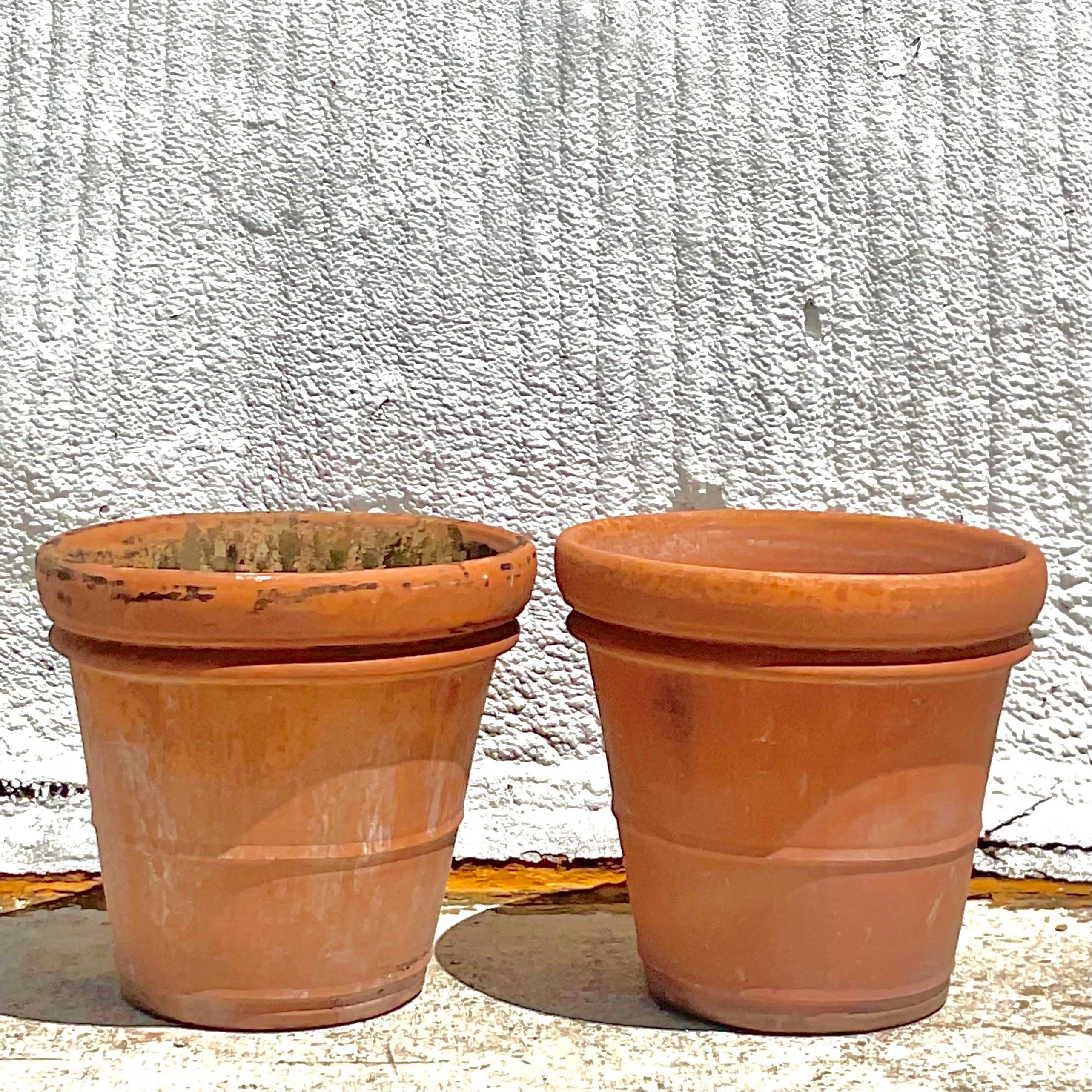 20th Century Vintage Monumental Terracotta Planters- a Pair For Sale