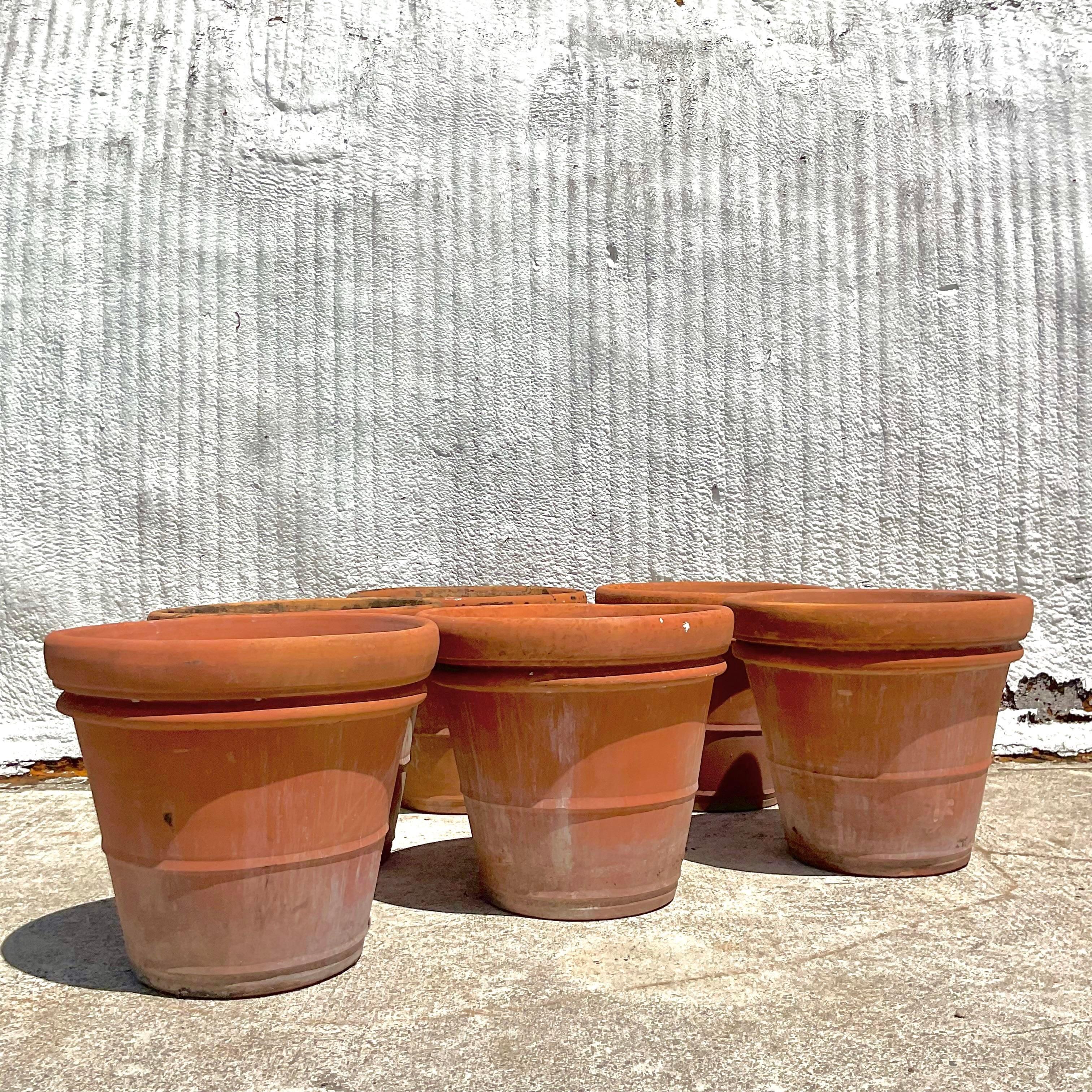 Vintage Monumental Terracotta Planters- a Pair For Sale 1