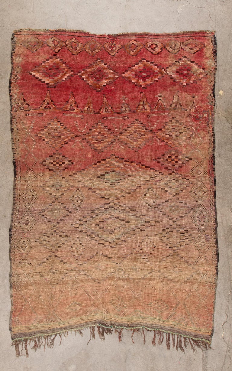 Wasilah - vintage boujad rug