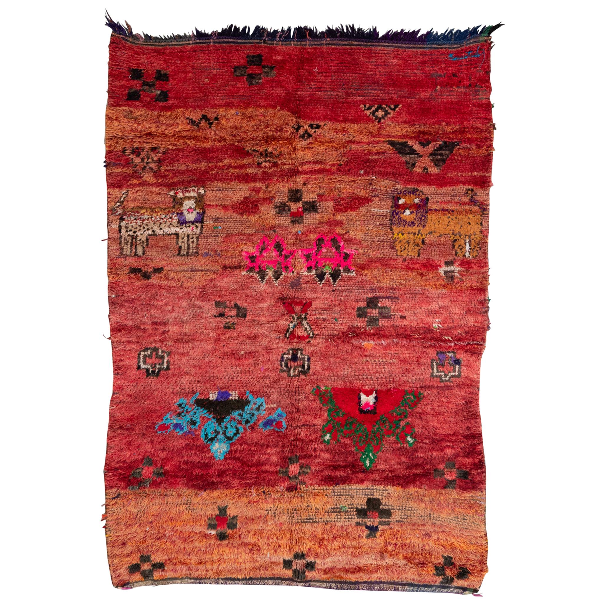 African Lion Rug 5 For Sale on 1stDibs