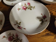 Vintage Moss Rose by Japan Fine China Tea Set - 28 Pieces