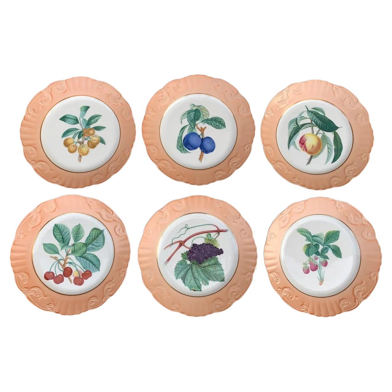 Assiettes à fruits d'été vintage Mottahedeh Vista Alegre, lot de six