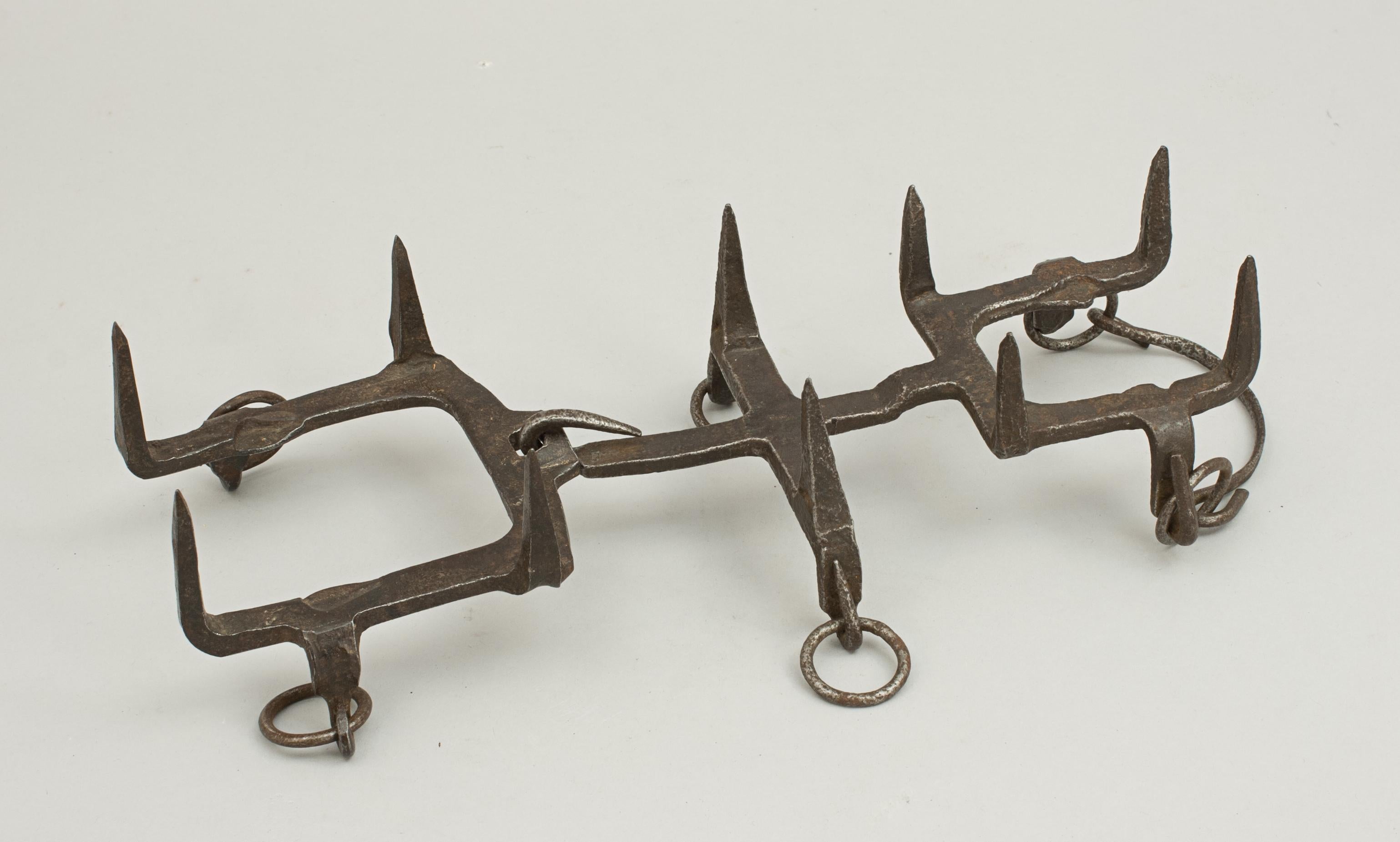 European Vintage Mountaineering Crampons in the Design of Oscar Eckenstein