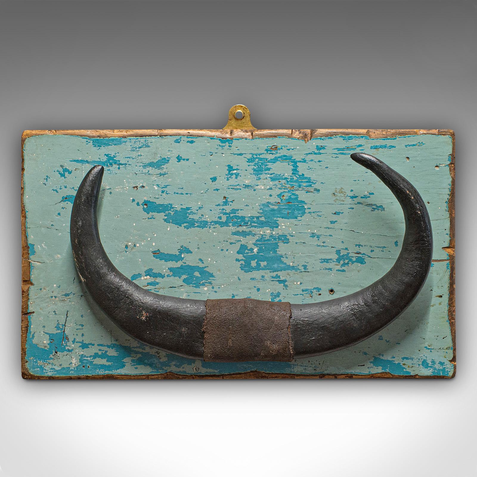 This is a vintage mounted horn. A Continental water buffalo display horn, dating to the mid-20th century.

Charming vintage display piece
Displaying a desirable aged patina
Painted pine in appealing naive finish
Leather bound horn mounted on a