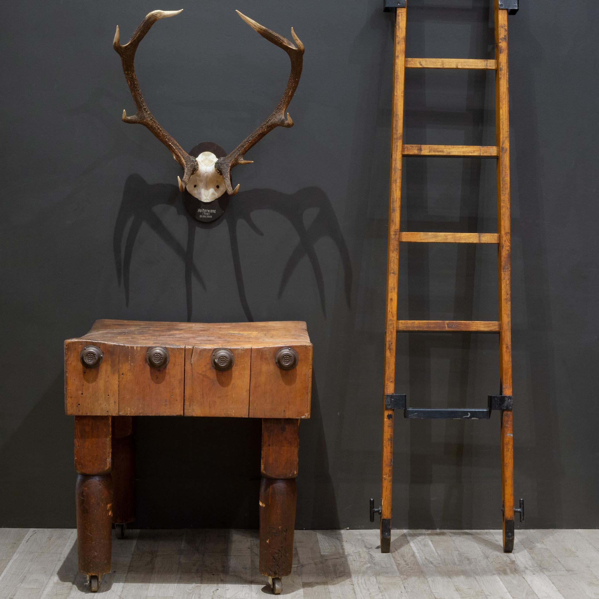 ABOUT

Vintage Red Deer nine point antlers with skull cap mounted on an inscribed Oak sheild with date and location. Labeled 